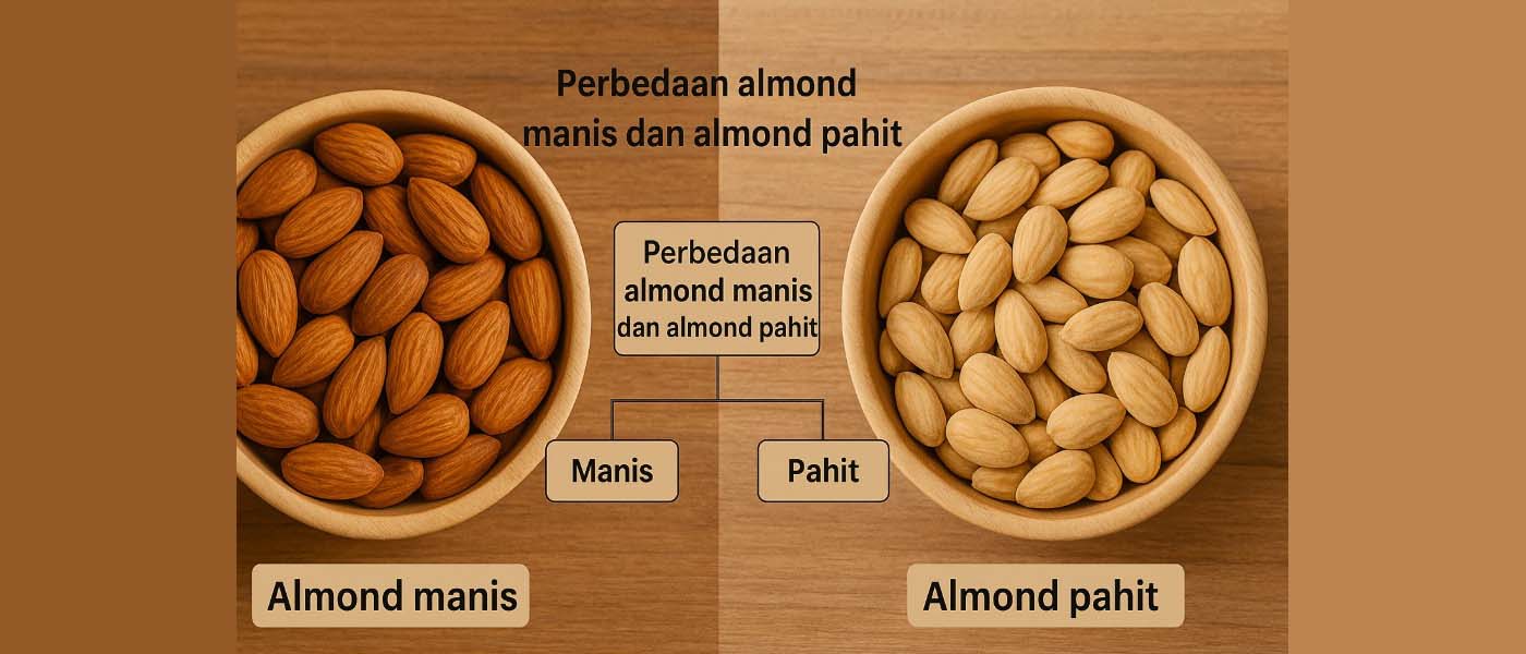Perbedaan almond manis dan almond pahit