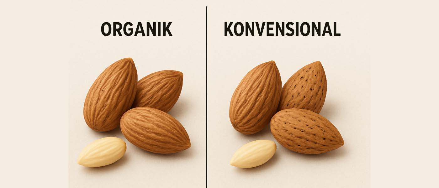 Perbedaan almond organik dan konvensional