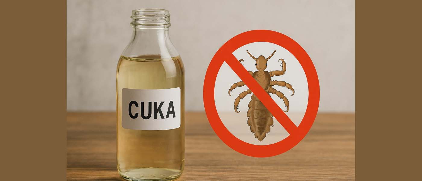 Penggunaan cuka untuk menghilangkan kutu