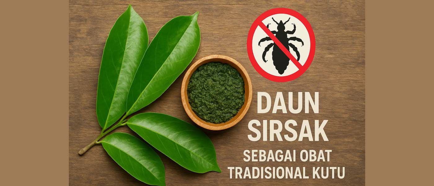 Daun sirsak sebagai obat tradisional kutu