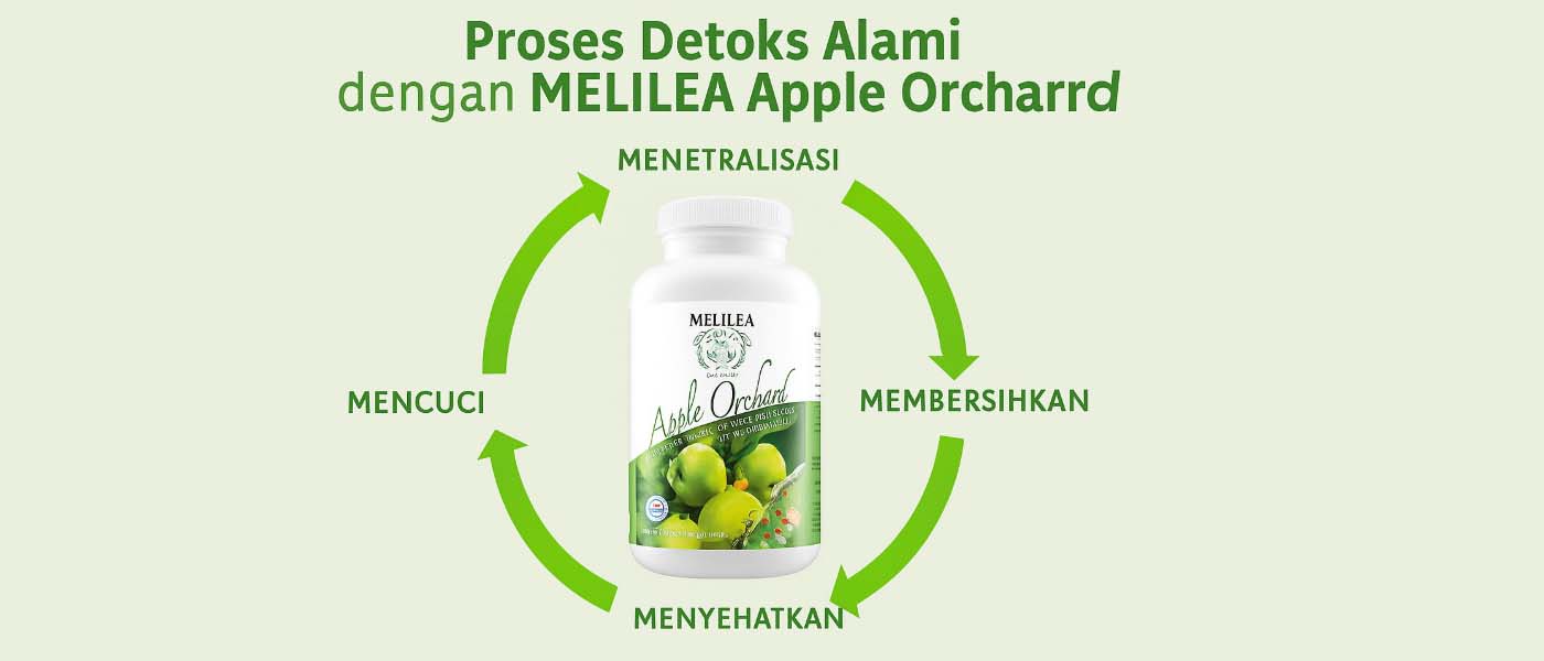 Detoks Alami dengan Melilea Apple Orchard