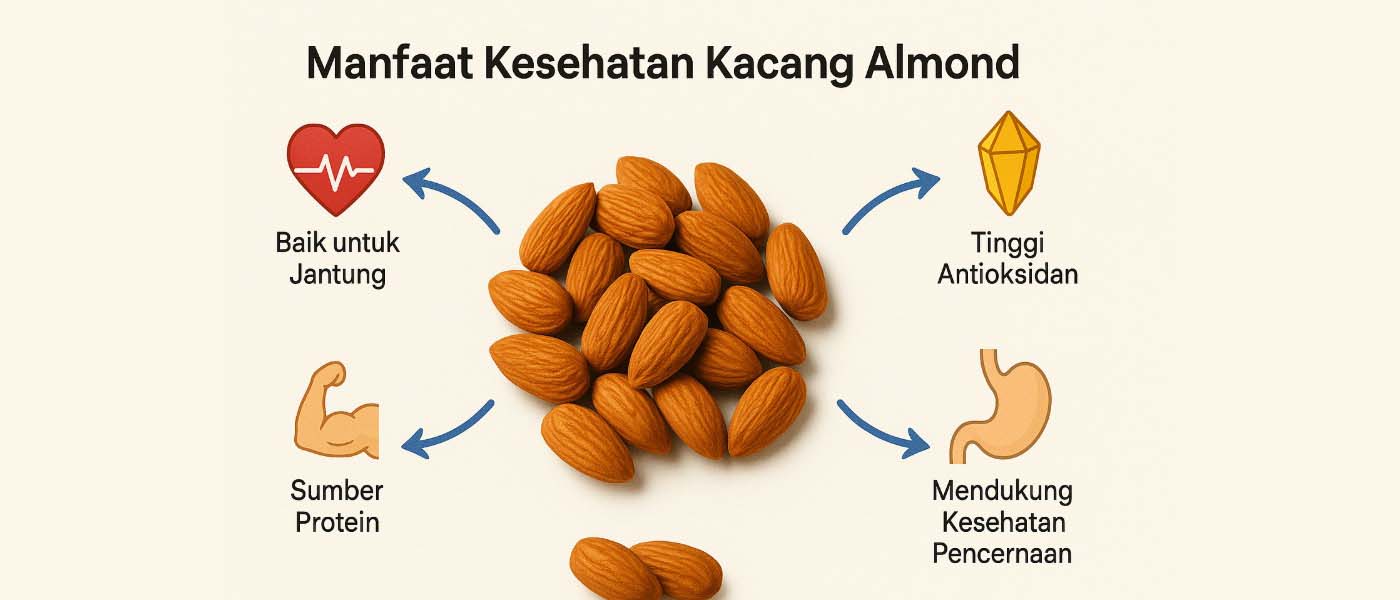 Manfaat Kesehatan dari Kacang Almond