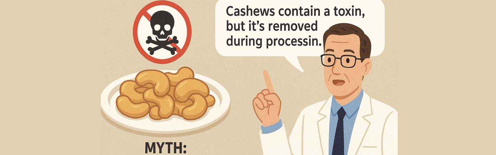 Ilustrasi mitos kacang mete beracun