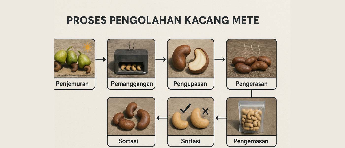 Proses pengolahan kacang mete