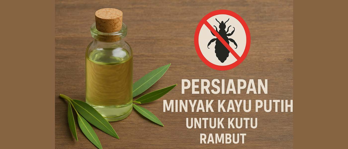 Persiapan minyak kayu putih untuk kutu rambut